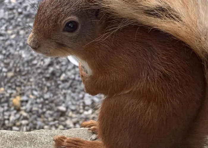 Holiday home 1 Bed In Snaizeholme Oc-ds671 Hawes