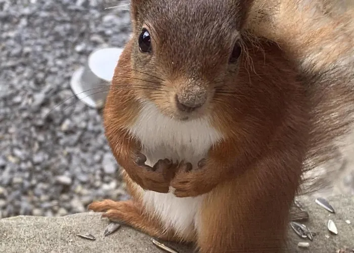 1 Bed In Snaizeholme Oc-ds671 * Hawes